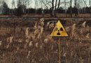 Pitali smo životinje iz Černobilja – ljudi su gori od radijacije