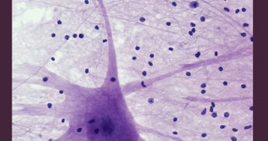 Časopis Simbioza 29. broj